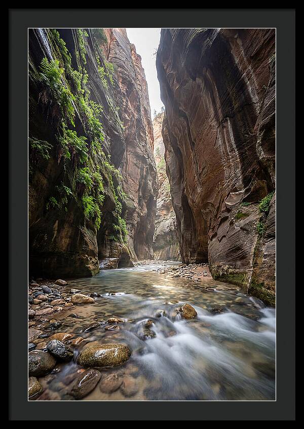 Inside The Zion Narrows