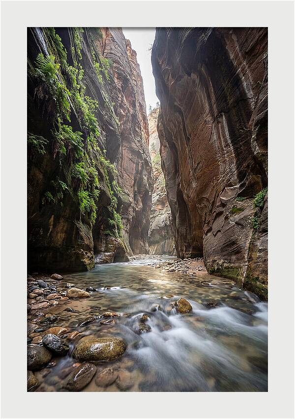 Inside The Zion Narrows