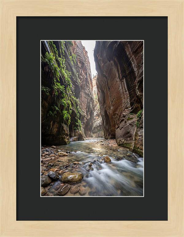 Inside The Zion Narrows