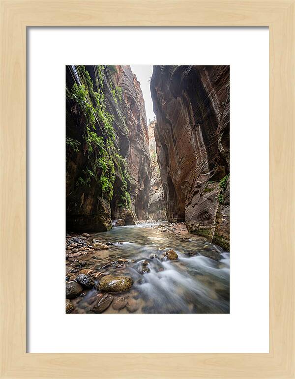 Inside The Zion Narrows