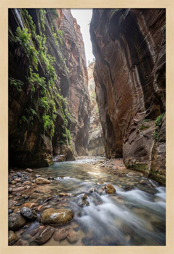 Inside The Zion Narrows