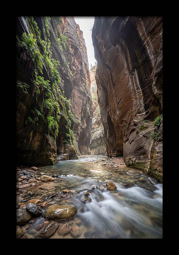 Inside The Zion Narrows
