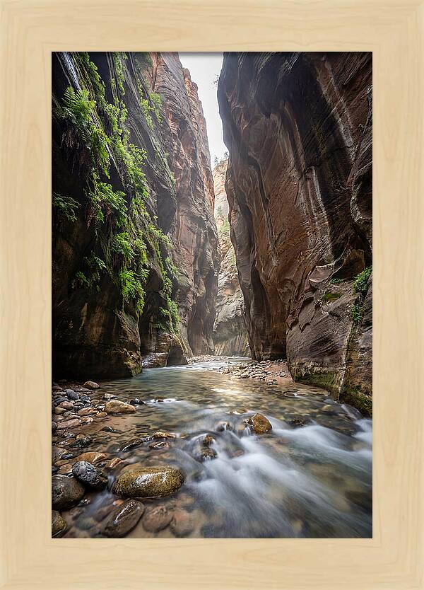 Inside The Zion Narrows