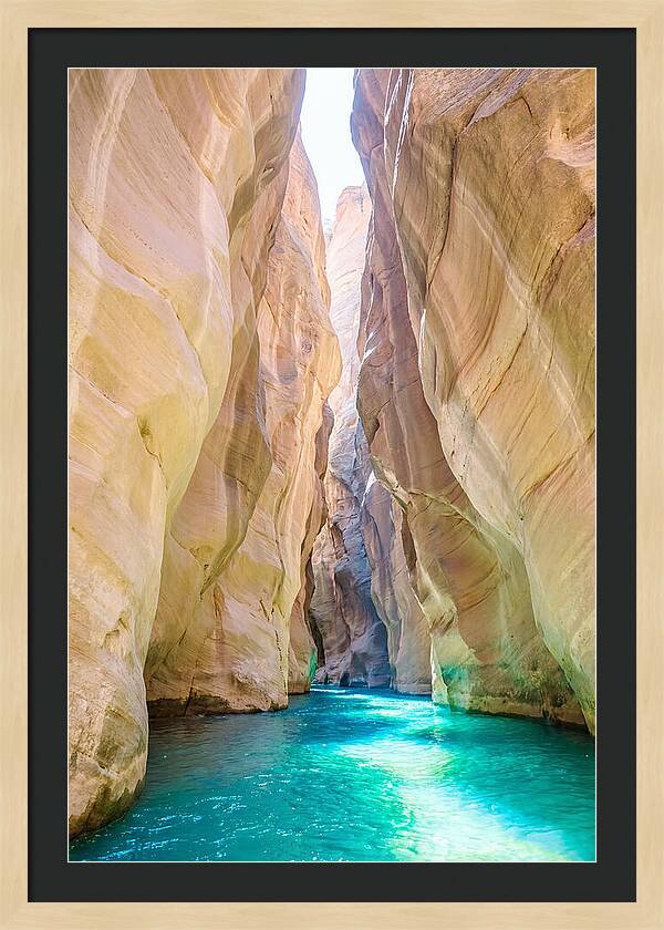Inside The Zion Narrows