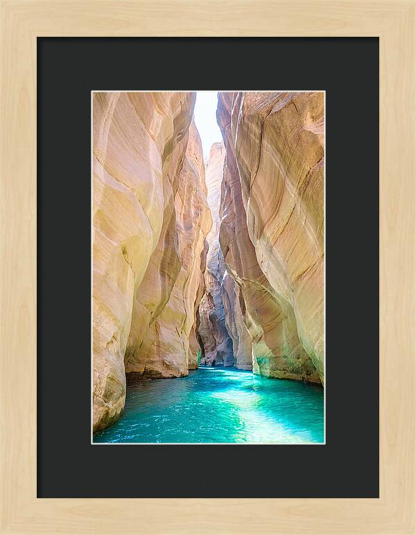 Inside The Zion Narrows