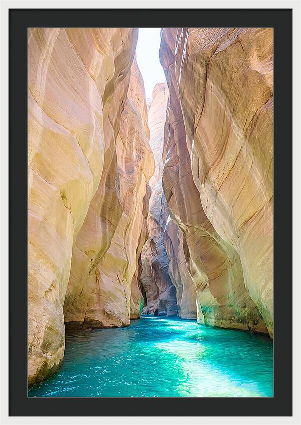 Inside The Zion Narrows