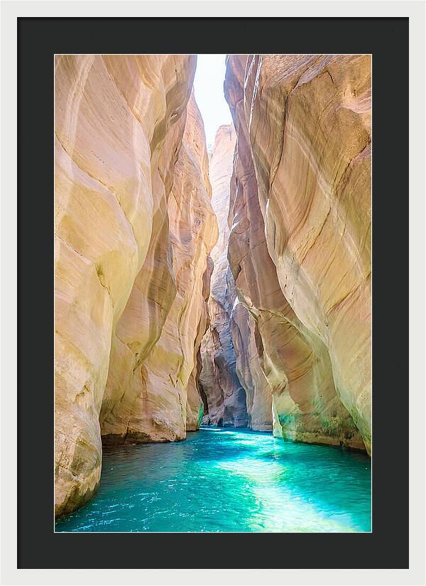 Inside The Zion Narrows
