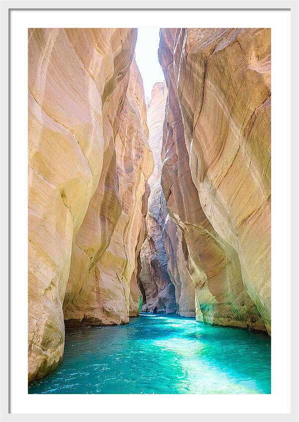 Inside The Zion Narrows