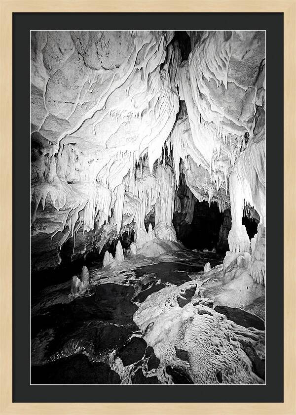 Inside Waitomo Glowworm Caves