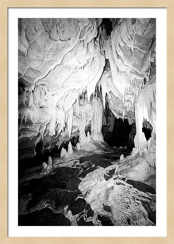 Inside Waitomo Glowworm Caves