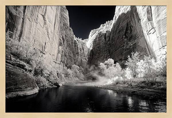 Inside Zion Narrows Serenity