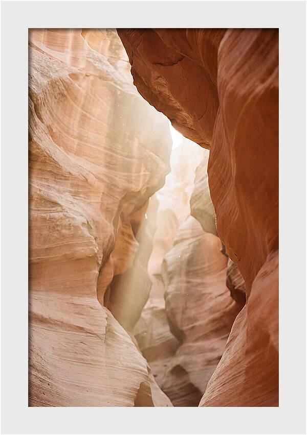 Interior Warmth Of Santa Elena Canyon