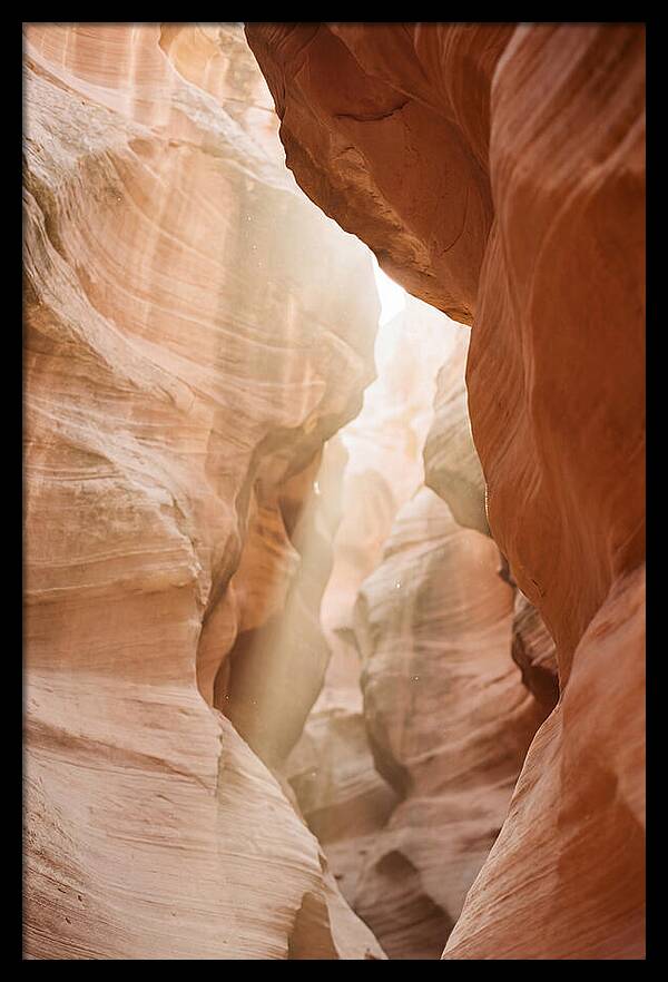 Interior Warmth Of Santa Elena Canyon