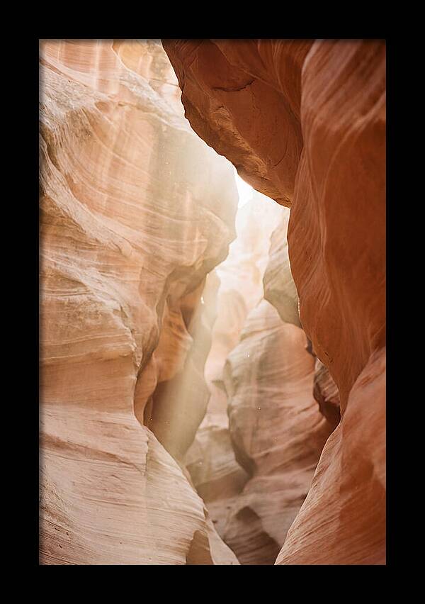 Interior Warmth Of Santa Elena Canyon