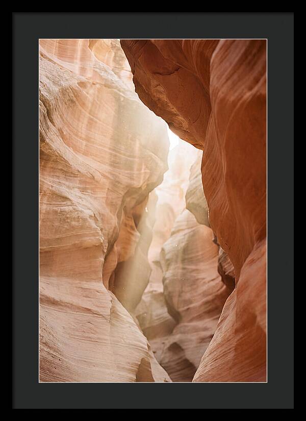 Interior Warmth Of Santa Elena Canyon