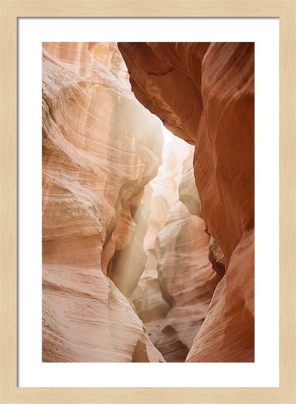 Interior Warmth Of Santa Elena Canyon