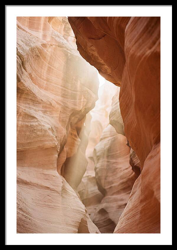 Interior Warmth Of Santa Elena Canyon