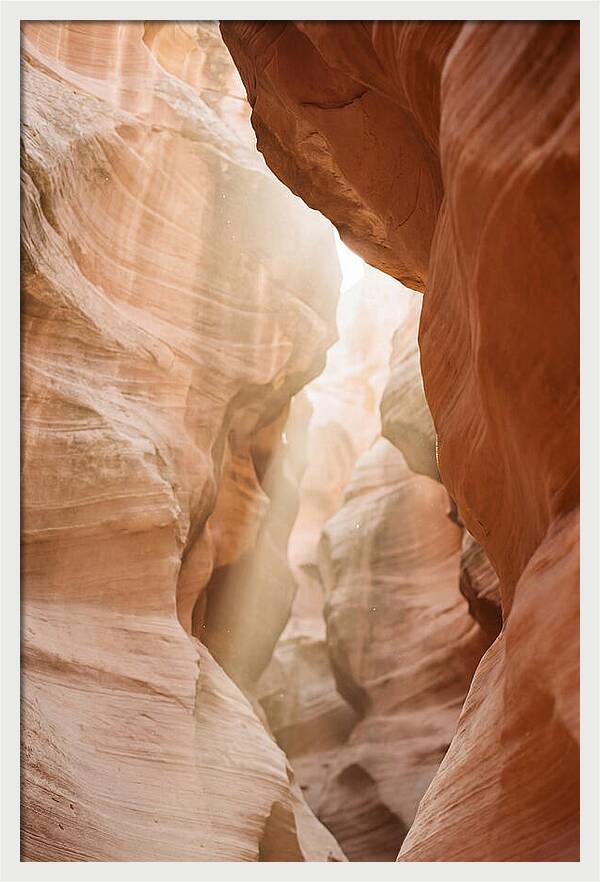 Interior Warmth Of Santa Elena Canyon