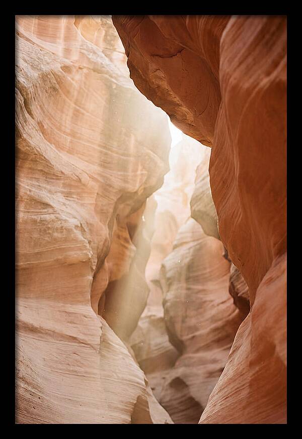 Interior Warmth Of Santa Elena Canyon