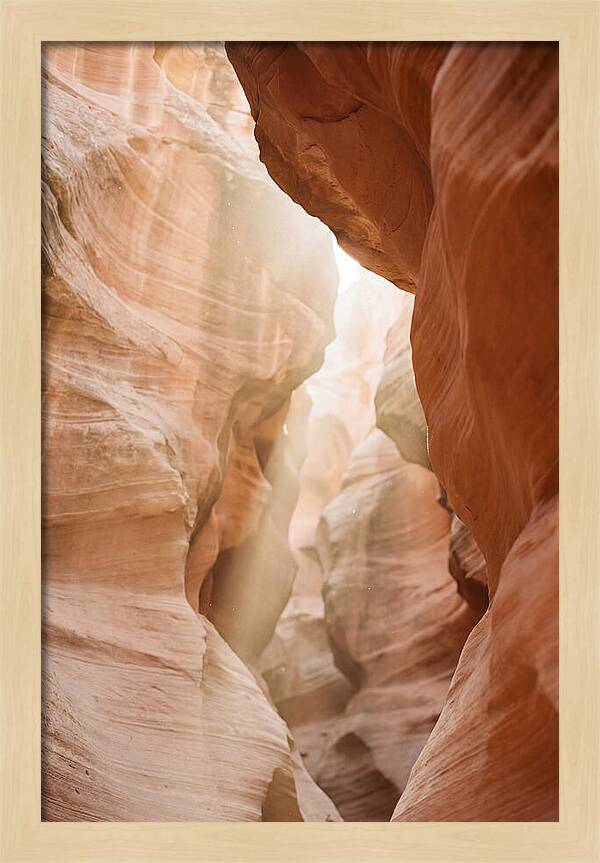 Interior Warmth Of Santa Elena Canyon