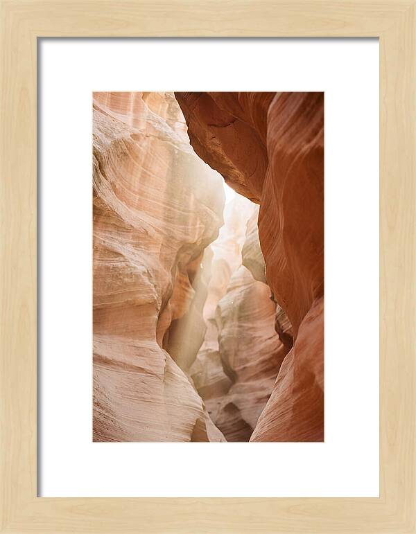Interior Warmth Of Santa Elena Canyon