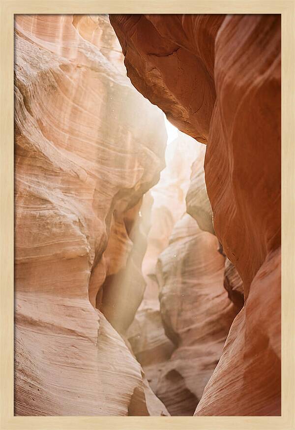 Interior Warmth Of Santa Elena Canyon
