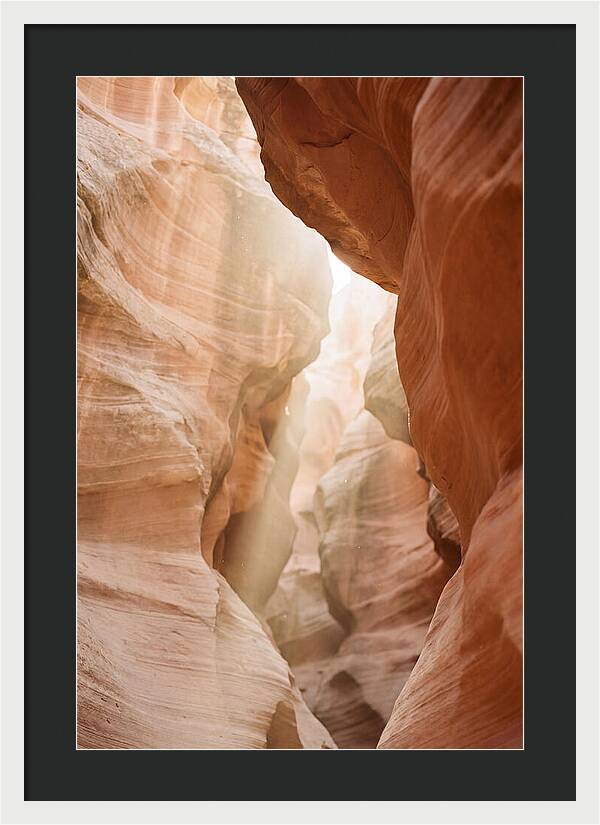 Interior Warmth Of Santa Elena Canyon
