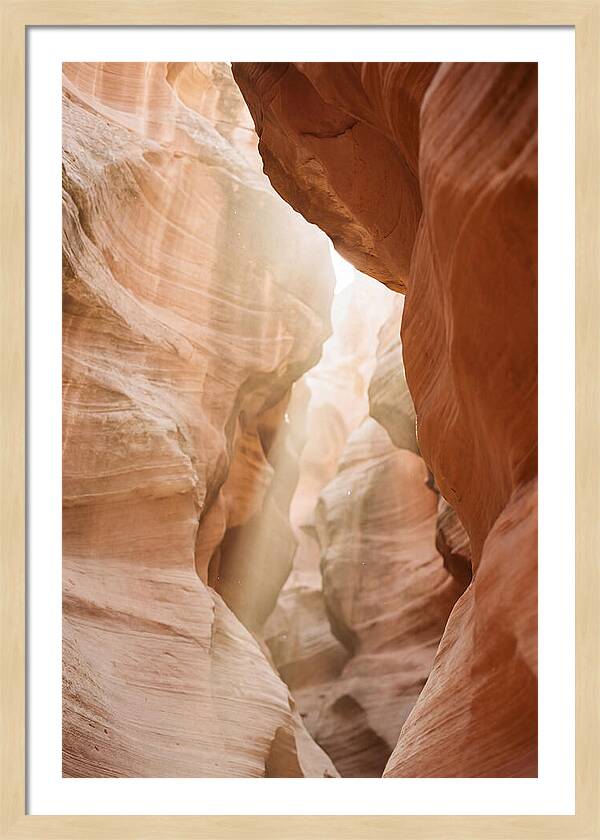 Interior Warmth Of Santa Elena Canyon