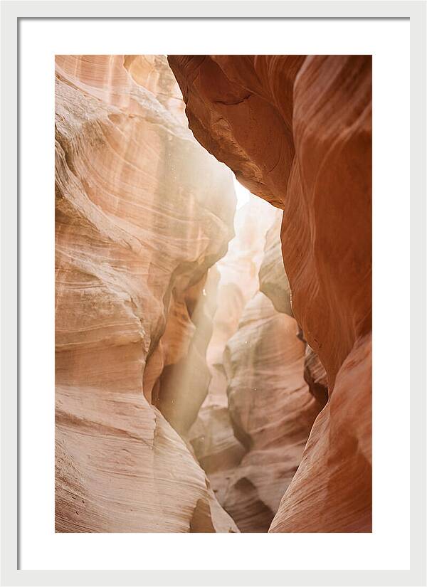 Interior Warmth Of Santa Elena Canyon