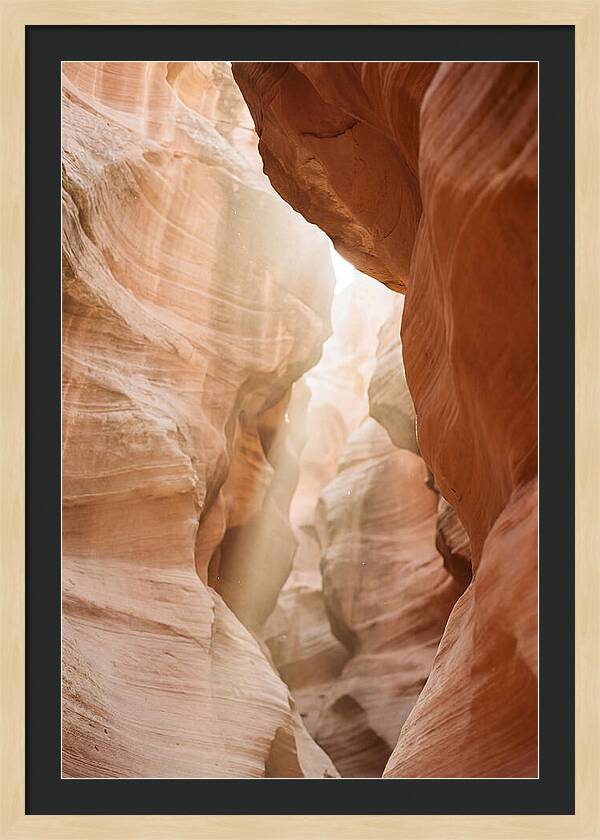 Interior Warmth Of Santa Elena Canyon
