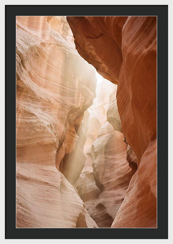 Interior Warmth Of Santa Elena Canyon