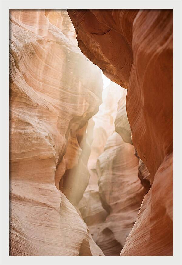 Interior Warmth Of Santa Elena Canyon