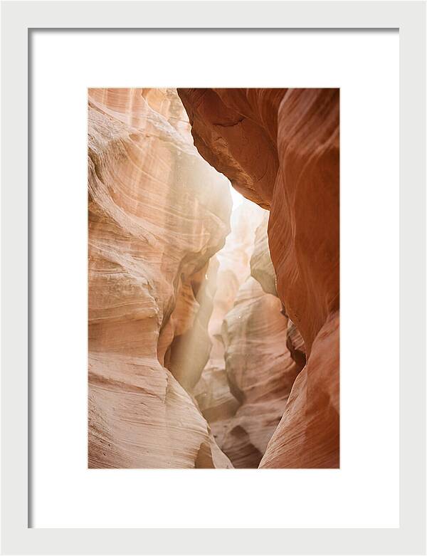 Interior Warmth Of Santa Elena Canyon