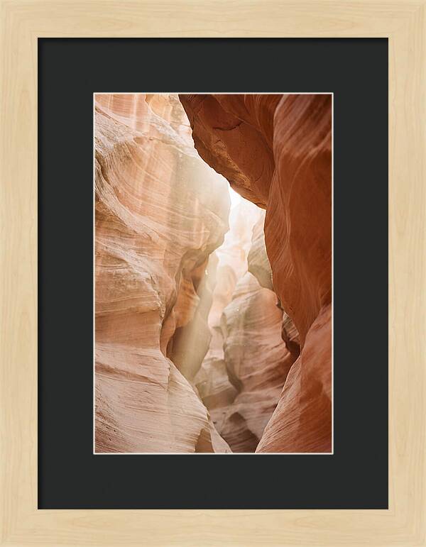 Interior Warmth Of Santa Elena Canyon