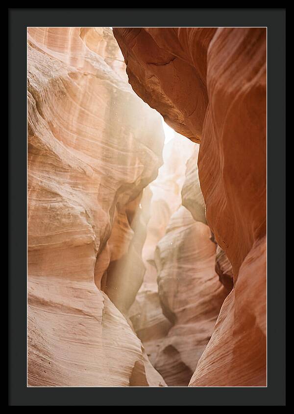 Interior Warmth Of Santa Elena Canyon