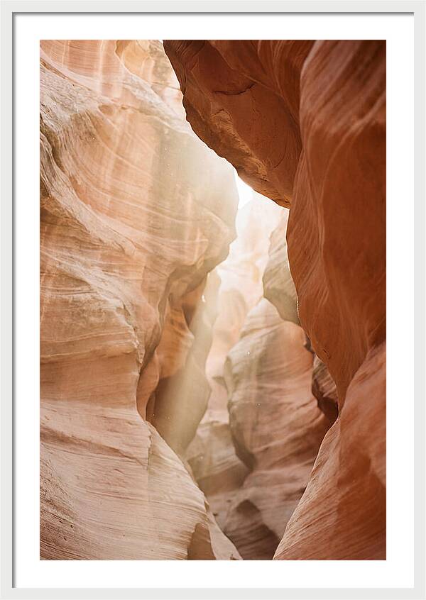 Interior Warmth Of Santa Elena Canyon