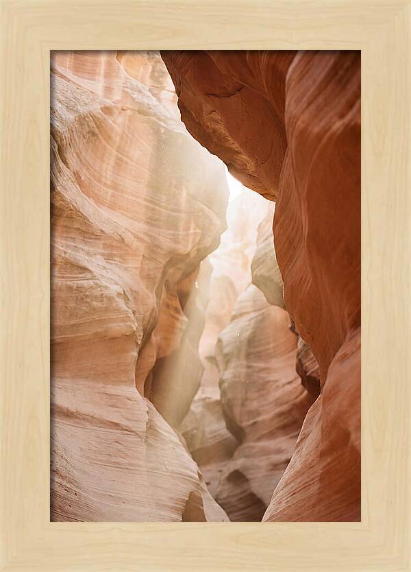 Interior Warmth Of Santa Elena Canyon