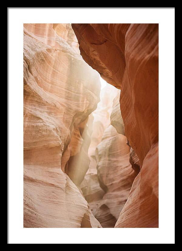 Interior Warmth Of Santa Elena Canyon