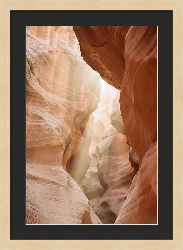 Interior Warmth Of Santa Elena Canyon