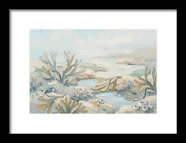 Intertidal Zone Life