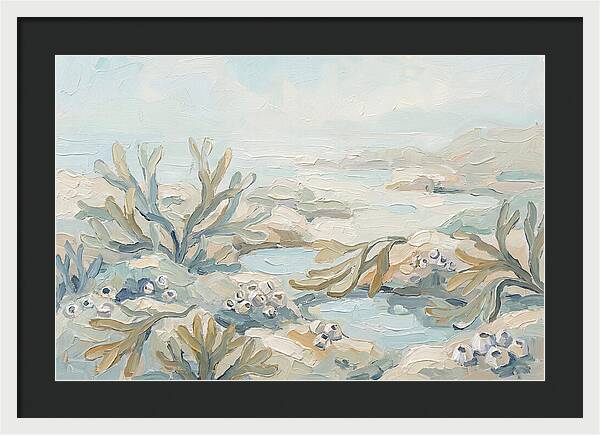 Intertidal Zone Life