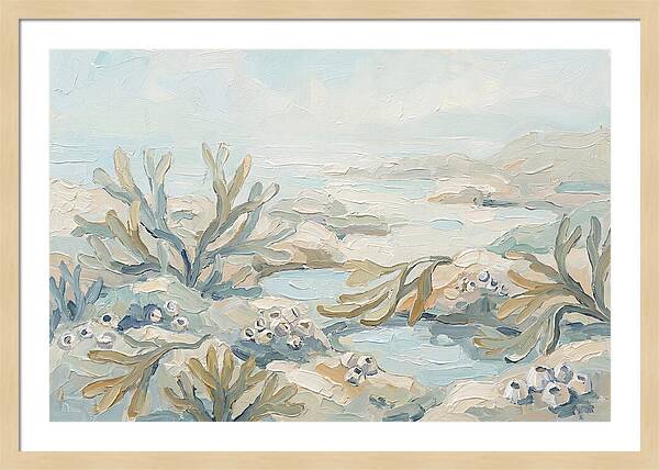 Intertidal Zone Life