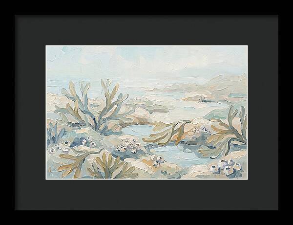 Intertidal Zone Life