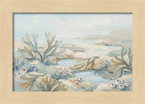 Intertidal Zone Life