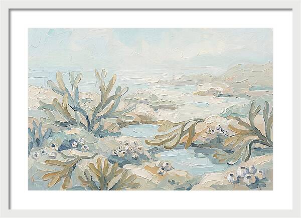 Intertidal Zone Life