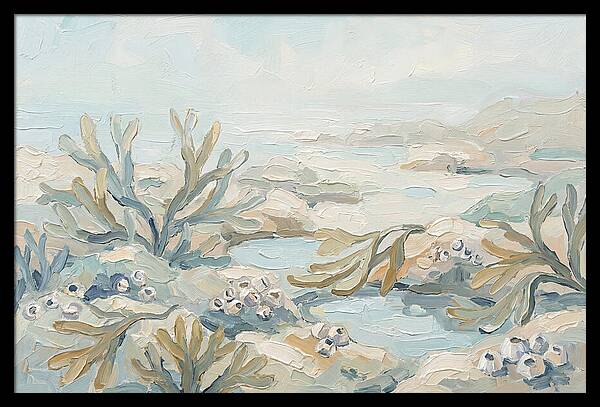 Intertidal Zone Life