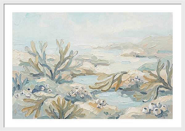 Intertidal Zone Life