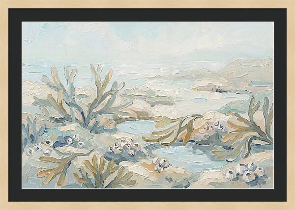 Intertidal Zone Life
