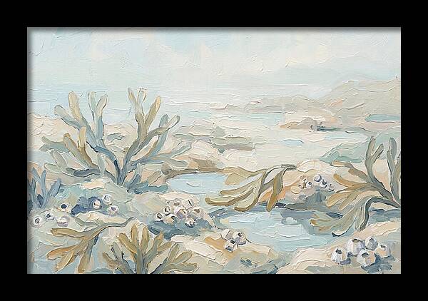 Intertidal Zone Life