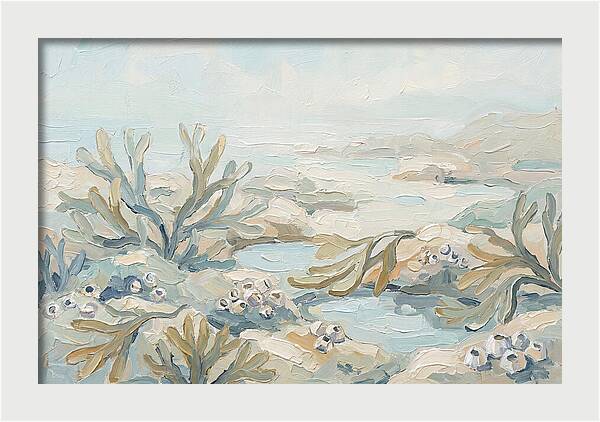 Intertidal Zone Life